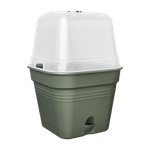 green basics anzucht. qua. allin1 25cm leaf green